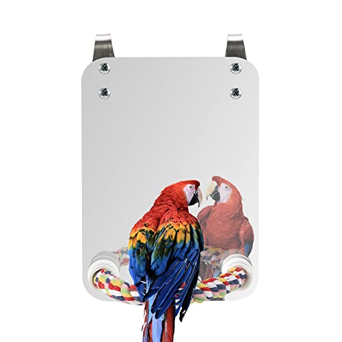 Esenlong Papagei Spielzeug Budgie Spielzeug Vogel Spiegel mit Seil Barsch Käfig Kauen Schaukel Spielzeug für Kakadu Nymphensittich Conure Lovebirds Finch Kanaren Sittich Esenlong Papagei Spielzeug Budgie Spielzeug Vogel Spiegel mit Seil Barsch Käfig Kauen Schaukel Spielzeug für Kakadu Nymphensittich Conure Lovebirds Finch Kanaren Sittich von Esenlong