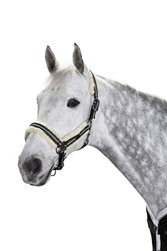 Eskadron Glossy Double Pin FF gestreift - WARMBLUT Eskadron Glossy Double Pin FF gestreift - WARMBLUT von Eskadron