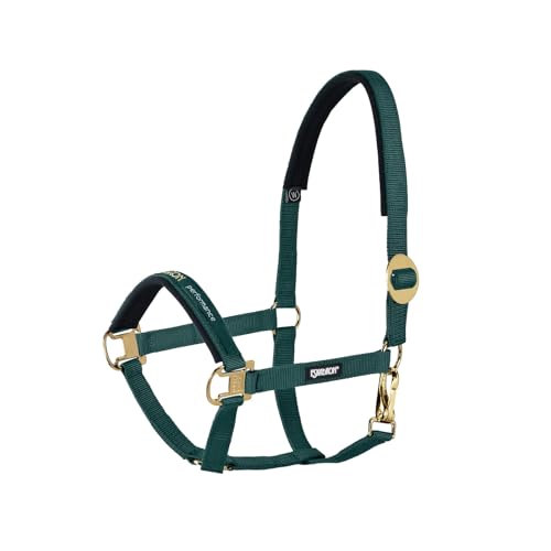 Eskadron Halfter Schiebeschnalle Basic Performance Messing Vollblut (Cob) von Eskadron