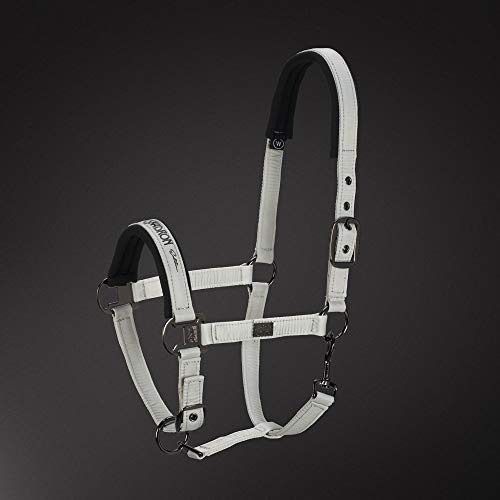 Eskadron Pin Buckle Glossy Head Collar Extra Full Size Silver Grey Eskadron Pin Buckle Glossy Head Collar Extra Full Size Silver Grey von Eskadron