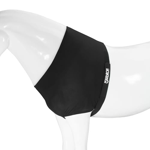 BASIC Brustschutz BRUSTSCHUTZ von Eskadron