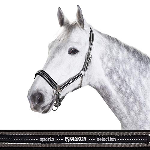 Standard Halfter PIN BUCKLE von Eskadron