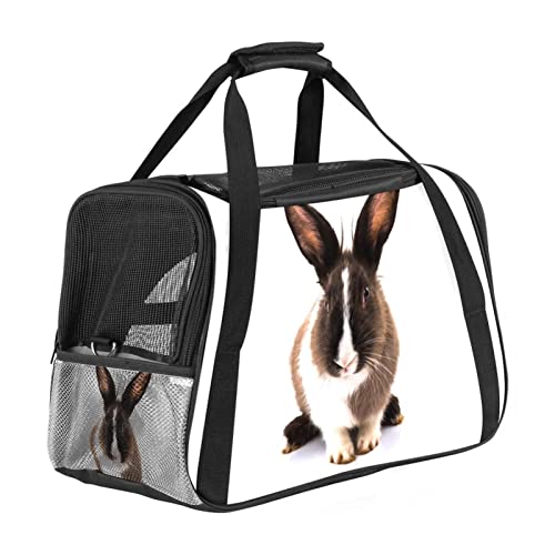 Haustier-Tragetasche, niedliches Kaninchen-Design, weich, für Corgi, Katzen, Hunde, Welpen, bequem, tragbar, faltbar, von Fluggesellschaften zugelassen Haustier-Tragetasche, niedliches Kaninchen-Design, weich, für Corgi, Katzen, Hunde, Welpen, bequem, tragbar, faltbar, von Fluggesellschaften zugelassen von Eslifey
