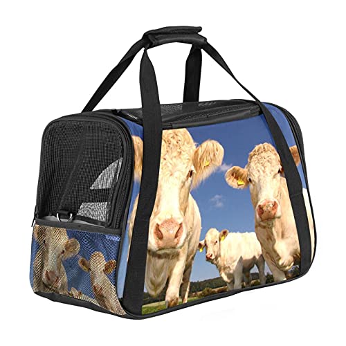 Haustier-Transporttasche für Haustiere, drei Kuh, weich, für Katzen, Hunde, Welpen, bequem, tragbar, faltbar, für Fluggesellschaften zugelassen von Eslifey