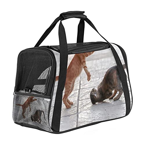 Haustier-Transporttasche für Katzen, Haustiere, weiche Seiten, tragbar, faltbar, Fluggesellschaften zugelassen von Eslifey