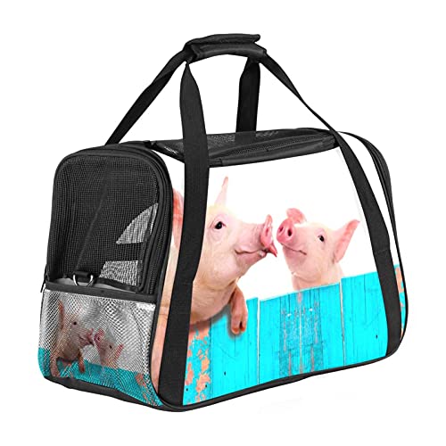 Haustier-Transporttasche für Katzen, Hunde, Welpen, zum Aufhängen an einem blauen Zaun, weich, tragbar, faltbar, für Fluggesellschaften zugelassen von Eslifey