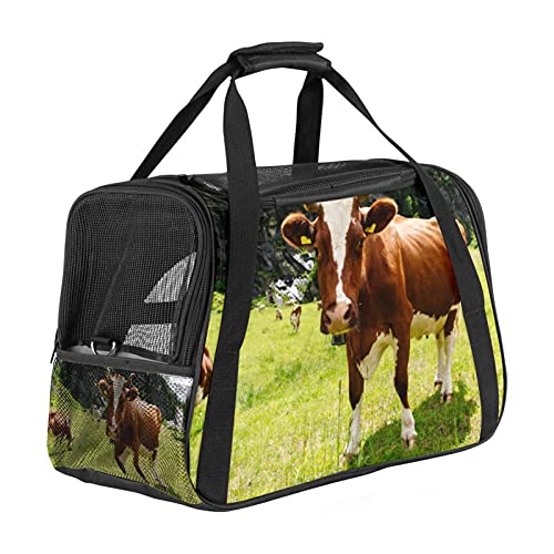 Haustier-Transporttasche für Katzen, Hunde und Welpen, weidet auf grünem Feld, weich, tragbar, faltbar, für Fluggesellschaften zugelassen von Eslifey