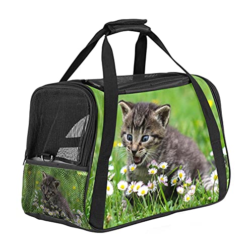 Haustier-Transporttasche für Katzen, Katzen und Welpen, weich, tragbar, faltbar, Fluggesellschaften zugelassen von Eslifey