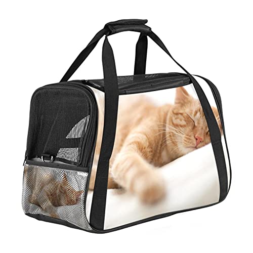Haustier-Transporttasche für Katzen, schlafende Katze, weiche Seiten, tragbar, faltbar, für Fluggesellschaften zugelassen von Eslifey