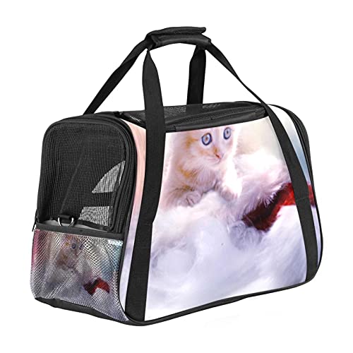 Haustier-Transporttasche für Katzen und Kätzchen, weich, tragbar, faltbar, für Fluggesellschaften zugelassen von Eslifey