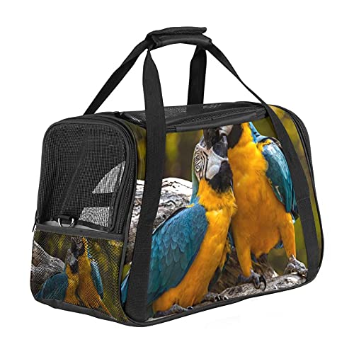 Haustier-Transporttasche für Papageien, Vögel, Liebespaar, weiche Seiten, für Katzen, Hunde, Welpen, bequem, tragbar, faltbar, für Fluggesellschaften zugelassen von Eslifey