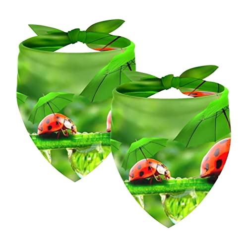 Hunde-Bandanas mit grünem Regenschirm, Marienkäfer und Schal, Chiffon, Halstücher, Dreieck-Lätzchen, Zubehör für kleine, mittelgroße und große Hunde, Welpen, Haustiere Hunde-Bandanas mit grünem Regenschirm, Marienkäfer und Schal, Chiffon, Halstücher, Dreieck-Lätzchen, Zubehör für kleine, mittelgroße und große Hunde, Welpen, Haustiere von Eslifey