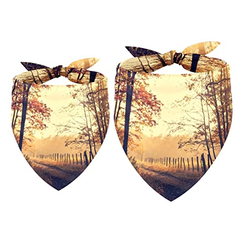 Hundehalstuch, Wald und Bäume, Chiffon-Halstuch, Dreiecks-Lätzchen, Zubehör für kleine, mittelgroße und große Hunde, Welpen, Haustiere, 2 Stück Hundehalstuch, Wald und Bäume, Chiffon-Halstuch, Dreiecks-Lätzchen, Zubehör für kleine, mittelgroße und große Hunde, Welpen, Haustiere, 2 Stück von Eslifey