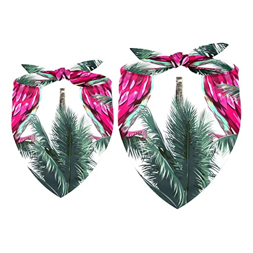 Hundehalstücher für Papageien, exotischer Vogel, Palme, tropischer Haustier-Schal, Chiffon-Halstuch, Dreieck-Lätzchen, Zubehör für kleine, mittelgroße und große Hunde, Welpen, Haustiere, 2 Stück Hundehalstücher für Papageien, exotischer Vogel, Palme, tropischer Haustier-Schal, Chiffon-Halstuch, Dreieck-Lätzchen, Zubehör für kleine, mittelgroße und große Hunde, Welpen, Haustiere, 2 Stück von Eslifey