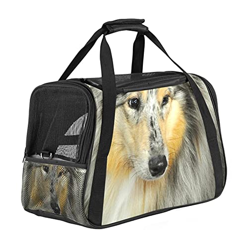 Sheltie Art Hundetasche mit weichen Seiten, für Katzen, Hunde, Welpen, bequem, tragbar, faltbar, für Fluggesellschaften zugelassen Sheltie Art Hundetasche mit weichen Seiten, für Katzen, Hunde, Welpen, bequem, tragbar, faltbar, für Fluggesellschaften zugelassen von Eslifey