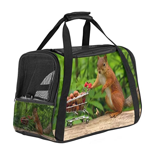 Transporttasche für Haustiere, Eichhörnchen mit Nüssen, weiche Seiten, für Corgi, Katzen, Hunde, Welpen, bequem, tragbar, faltbar, von Fluggesellschaften zugelassen Transporttasche für Haustiere, Eichhörnchen mit Nüssen, weiche Seiten, für Corgi, Katzen, Hunde, Welpen, bequem, tragbar, faltbar, von Fluggesellschaften zugelassen von Eslifey