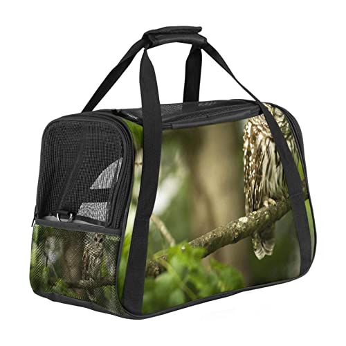 Transporttasche für Haustiere, Eule, Vogel im Baum, weiche Seiten, für Corgi, Katzen, Hunde, Welpen, bequem, tragbar, faltbar, von Fluggesellschaften zugelassen Transporttasche für Haustiere, Eule, Vogel im Baum, weiche Seiten, für Corgi, Katzen, Hunde, Welpen, bequem, tragbar, faltbar, von Fluggesellschaften zugelassen von Eslifey