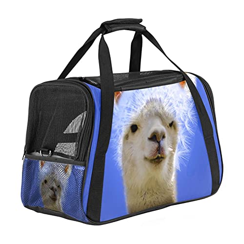 Transporttasche für Haustiere, Llama, Löwenzahn, blauer Himmel, weich, für Katzen, Hunde, Welpen, bequem, tragbar, faltbar, für Fluggesellschaften zugelassen von Eslifey