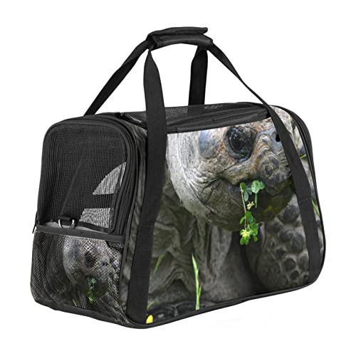 Transporttasche für Haustiere, Schildkröte, aus Glas, weiche Seiten, für Katzen, Hunde, Welpen, bequem, tragbar, faltbar, für Fluggesellschaften zugelassen von Eslifey