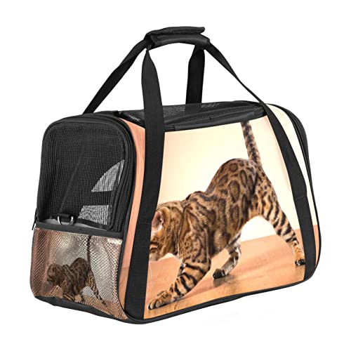 Transporttasche für Katzen, weiche Seiten, Braun von Eslifey