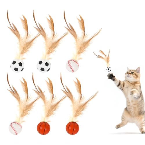 Entdecken Sie das ultimative Spielvergnügen für Ihre Katzen mit unserem 6er Set Cat Bouncy Balls mit Federn! Dieses interaktive Katzenspielzeug vereint Spaß und Bewegung, um Ihre Katzen glücklich und Entdecken Sie das ultimative Spielvergnügen für Ihre Katzen mit unserem 6er Set Cat Bouncy Balls mit Federn! Dieses interaktive Katzenspielzeug vereint Spaß und Bewegung, um Ihre Katzen glücklich und von Esoes