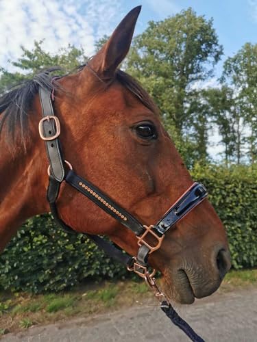 Esposita Lederhalfter mit Lackleder, Straß und anatomischem, gepolsterten Genickstück - Schwarz mit Rosegold Gr. Cob von Esposita