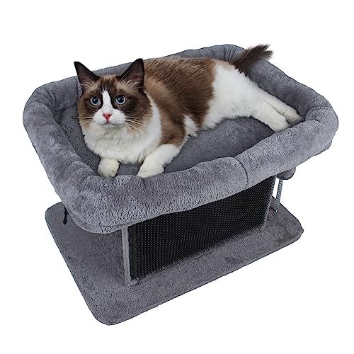 Esprsct Großes Katzenbett mit Kratzbaum und Kammbrett, robust und langlebig, ideal für kleine Rassen Esprsct Großes Katzenbett mit Kratzbaum und Kammbrett, robust und langlebig, ideal für kleine Rassen von Esprsct