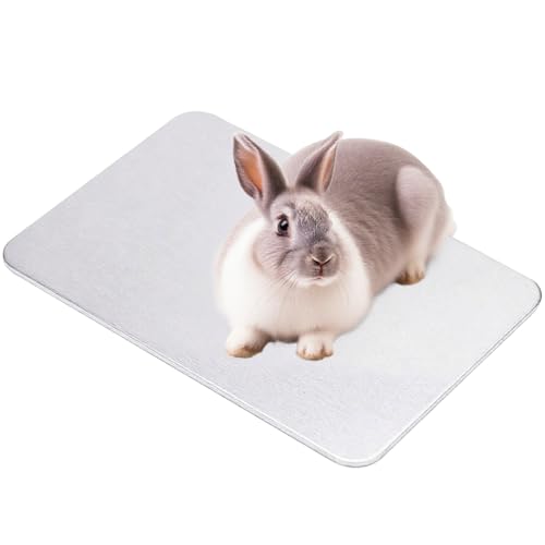 Esshogo 1 Stück Kühlmatte für Kleintiere, Kaninchen-Kühlkissen, Kühlplatte für Haustiere, Hamster kühlkompresse, Kühlplatte Hamster, Haustier kühlmatte von Esshogo