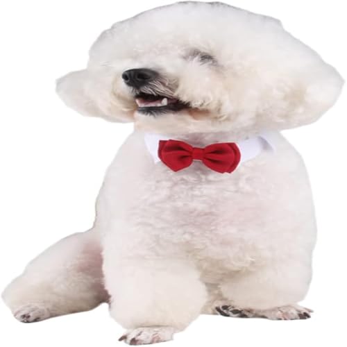 Esshogo 1 Stück ausgewählte verstellbare Hundefliege, Rote Fliege Formale Bowknot Halsketten, Hochzeits-Kostüme,L, Rot von Esshogo