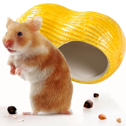 Esshogo 1 StückHaustier Keramik Nest, Hamster Haus aus Keramik, Kleintierversteck Hamster Haus Hamster, Nest Kleintiere Höhle Käfig für Igel Ratte Chinchilla Meerschweinchen Kleine Haustiere Esshogo 1 StückHaustier Keramik Nest, Hamster Haus aus Keramik, Kleintierversteck Hamster Haus Hamster, Nest Kleintiere Höhle Käfig für Igel Ratte Chinchilla Meerschweinchen Kleine Haustiere von Esshogo