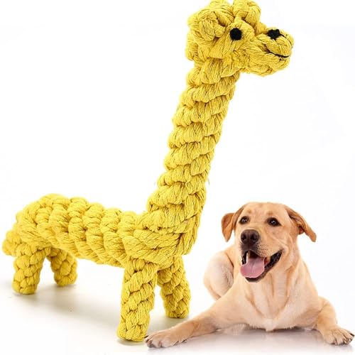 Esshogo Hundeseil-Kauspielzeug, Kleine Niedliches Kauspielzeug, Hundespielzeug aus Seil, Design Haustier-Zahnreinigungsgeschenke Baumwolle Esshogo Hundeseil-Kauspielzeug, Kleine Niedliches Kauspielzeug, Hundespielzeug aus Seil, Design Haustier-Zahnreinigungsgeschenke Baumwolle von Esshogo