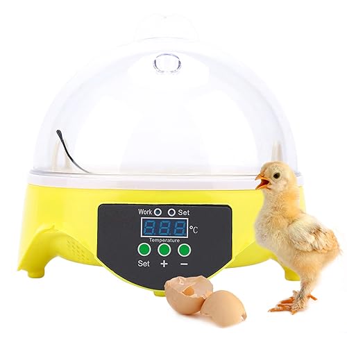7 Eier Brutapparat, Eier Inkubator mit LED Beleuchtung, 20W Mini Eier Brutkasten, eingebauter Lüfter, für Geflügeleier Hühnereier Wachtel von Estink