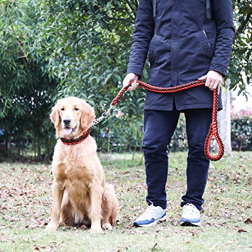 Estink Hochleistungs -Bissfest Nylon Hundeleine für Mittelschwere Hunde -Wandertraining 4,2 Fuß, Langlebig, Sicher, Komfortabel, Flexibler Gebrauch, Hundetraktionsseil (M) von Estink