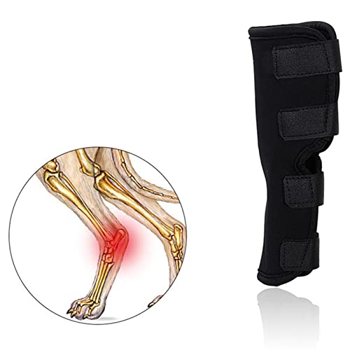 Estink Hundebein -Wrap -Klammer für Arthritis Verletzungen Weiches und Elastisches Material Verhindert das Lecken und Bietet Unterstützung für Hunde (XL (49 g/1,7 Unzen)) von Estink