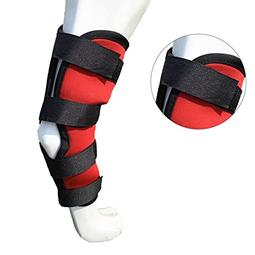 Estink Hundebein -Wrap -Klammer für Arthritis Verletzungen Weiches und Elastisches Material Verhindert das Lecken und Bietet Unterstützung für Hunde (XL (49 g/1,7 Unzen)) von Estink