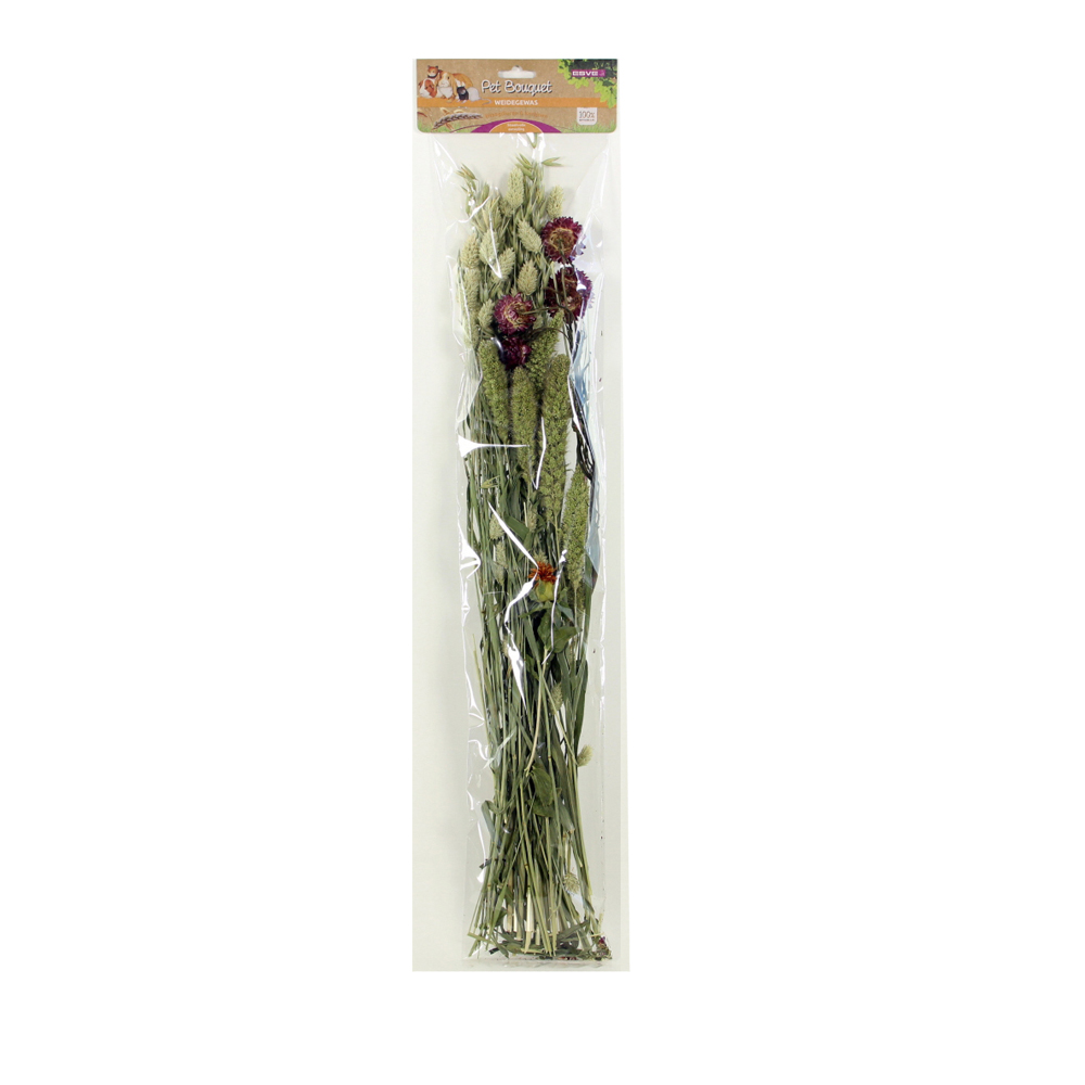 Esve Pet Bouquet Weidegras - 1 Stück Esve Pet Bouquet Weidegras - 1 Stück von Esve