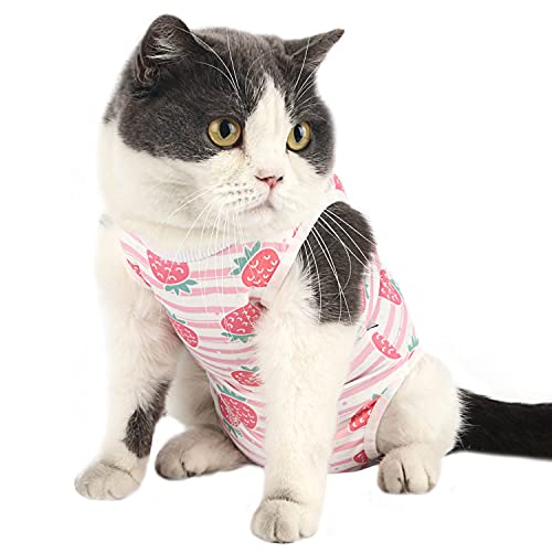 Etdane Cat Surgical Recovery Suit Small Dog Puppy Onesies After Surgery Abdominal Wounds Protector Post-Operative Shirt Pet E-Collar Alternative Vest for Home Outdoor Pink Strawberry/L von Etdane