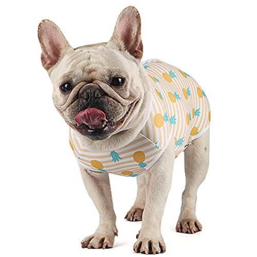 Etdane Recovery Suit for Dog Cat After Surgery, Surgical Onesies for Female Doggy Pet Postoperative Vest Shirt Alternative Cone E-Collar Abdominal Wound Protector Yellow Pineapple/XS von Etdane