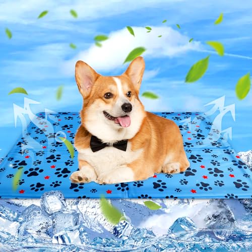 Kühlmatte für Hunde & Katzen, 50 × 40cm Kühlmatte Hunde, Selbstkühlende Hundematte, Dog Cooling Mat Für Kleine Grosse Hunde, ühldecke Hundebett für Zuhause Unterwegs Oder im Auto, Waschbar, Sommer Kühlmatte für Hunde & Katzen, 50 × 40cm Kühlmatte Hunde, Selbstkühlende Hundematte, Dog Cooling Mat Für Kleine Grosse Hunde, ühldecke Hundebett für Zuhause Unterwegs Oder im Auto, Waschbar, Sommer von Eteiylt