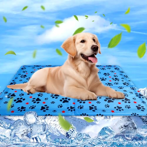 Kühlmatte für Hunde & Katzen, 60×50cm Kühlmatte Katzen, Selbstkühlende Hundematte, Dog Cooling Mat Für Kleine Grosse Hunde, Kühldecke Hundebett für Zuhause Unterwegs Oder im Auto, Waschbar, Sommer Kühlmatte für Hunde & Katzen, 60×50cm Kühlmatte Katzen, Selbstkühlende Hundematte, Dog Cooling Mat Für Kleine Grosse Hunde, Kühldecke Hundebett für Zuhause Unterwegs Oder im Auto, Waschbar, Sommer von Eteiylt