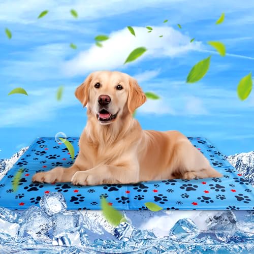 Kühlmatte für Hunde & Katzen, 90×60cm Kühlmatte Katzen, Selbstkühlende Hundematte, Dog Cooling Mat Für Kleine Grosse Hunde, Kühldecke Hundebett für Zuhause Unterwegs Oder im Auto, Waschbar, Sommer Kühlmatte für Hunde & Katzen, 90×60cm Kühlmatte Katzen, Selbstkühlende Hundematte, Dog Cooling Mat Für Kleine Grosse Hunde, Kühldecke Hundebett für Zuhause Unterwegs Oder im Auto, Waschbar, Sommer von Eteiylt