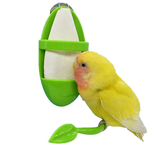 Eteslot Papagei-Feeder mit stehender Rack, Tintenfisch-Knochen-Obst Gemüsehalter Kunststoff-Hängende Nahrungsmittel-Container-Käfig-Zubehör PET-Vogel-Vorräte (grün) von Eteslot