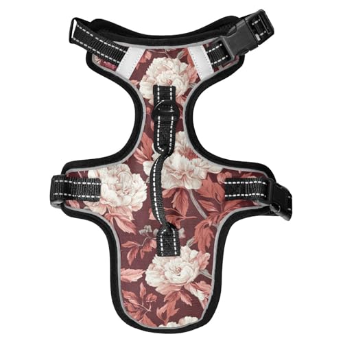 Chaleco para perro Hundegeschirr, reflektierend, mit Griff, personalisierbar für Affe, Hunde-Training, Katzengeschirr mit Griff, Größe M, Rotbraun Chaleco para perro Hundegeschirr, reflektierend, mit Griff, personalisierbar für Affe, Hunde-Training, Katzengeschirr mit Griff, Größe M, Rotbraun von EtherSpher
