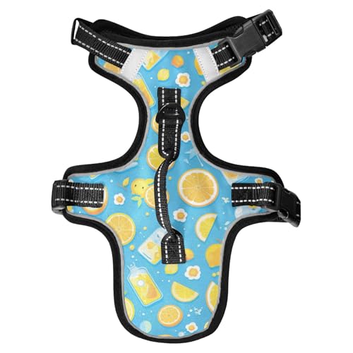 Chalecos para Perros Hundegeschirr, reflektierend, für Deutscher Schäferhund, wasserdicht, mit Griff, Größe M, Cartoon-Fruchtsaft, Sommerblau Chalecos para Perros Hundegeschirr, reflektierend, für Deutscher Schäferhund, wasserdicht, mit Griff, Größe M, Cartoon-Fruchtsaft, Sommerblau von EtherSpher