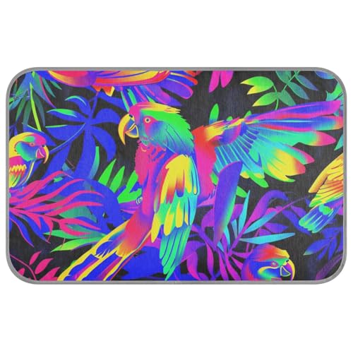 EtherSpher Fluoreszierendes kühlendes Haustierbett für den Sommer, für Hunde, Katzen, Outdoor, rutschfest, für den Sommer, Größe M EtherSpher Fluoreszierendes kühlendes Haustierbett für den Sommer, für Hunde, Katzen, Outdoor, rutschfest, für den Sommer, Größe M von EtherSpher