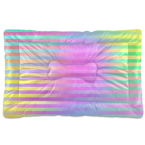 EtherSpher Haustiermatratze, buntes Laserdesign, Streifen, waschbar, rutschfest, weich, bequem, für große, mittelgroße und kleine Hunde, 91,4 x 61 cm EtherSpher Haustiermatratze, buntes Laserdesign, Streifen, waschbar, rutschfest, weich, bequem, für große, mittelgroße und kleine Hunde, 91,4 x 61 cm von EtherSpher
