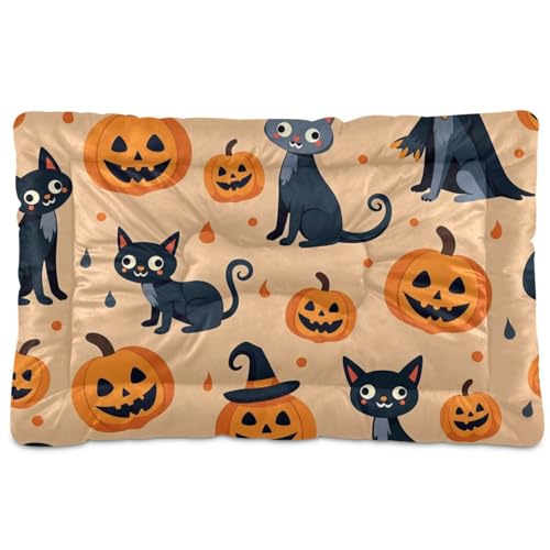 EtherSpher Hundebett, waschbar, weich, rutschfest, für große, mittelgroße und kleine Hunde, 91,4 x 61 cm, Orange EtherSpher Hundebett, waschbar, weich, rutschfest, für große, mittelgroße und kleine Hunde, 91,4 x 61 cm, Orange von EtherSpher