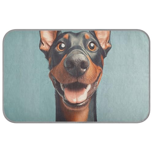 EtherSpher Kühlmatte mit lustigem Dobermann, Motiv: Pinscher, lustiger Sommer, selbstkühlende Decken für Indoor-Katzen für Chihuahua, Indoor-Katzenzubehör, Camas Frias para Perros M EtherSpher Kühlmatte mit lustigem Dobermann, Motiv: Pinscher, lustiger Sommer, selbstkühlende Decken für Indoor-Katzen für Chihuahua, Indoor-Katzenzubehör, Camas Frias para Perros M von EtherSpher