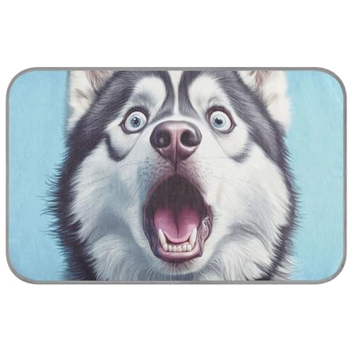 Lustiges weißes sibirischer Husky, Sommer-Kühlkissen für Hunde, groß, selbstkühlend, Hundebett für Schwein, Outdoor, Haustier, Sommer-Tapete, Frio Para, Perros, M Lustiges weißes sibirischer Husky, Sommer-Kühlkissen für Hunde, groß, selbstkühlend, Hundebett für Schwein, Outdoor, Haustier, Sommer-Tapete, Frio Para, Perros, M von EtherSpher