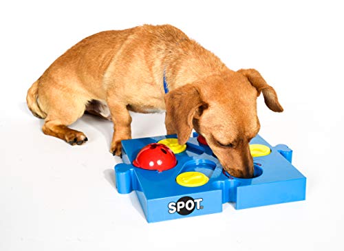 ethischen Pets Spot Seek-a-Treat Flip 'n Slide Leckerli-Spender für Hunde von SPOT